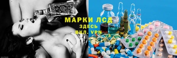 дживик Новокубанск