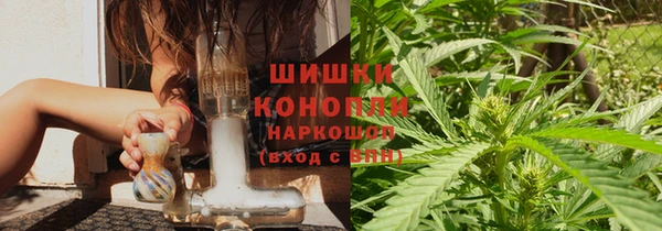 ешки Новодвинск