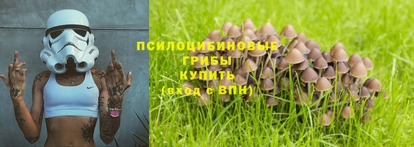 круглые Богданович