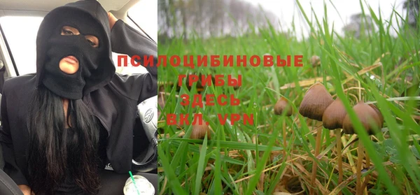 ешки Новодвинск