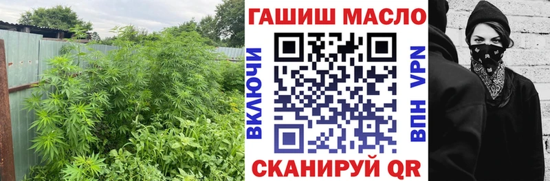 ссылка на мегу ONION  цена   Куса  Дистиллят ТГК концентрат 
