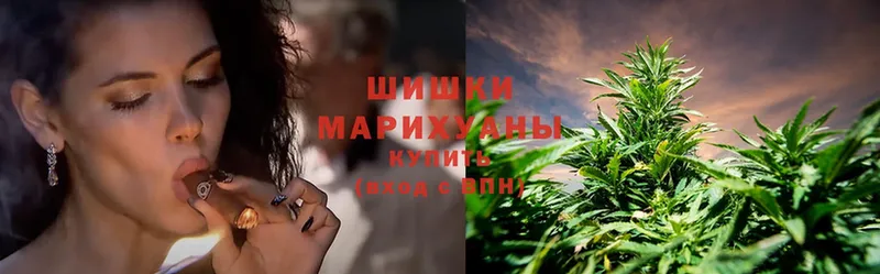 Канабис OG Kush  Куса 